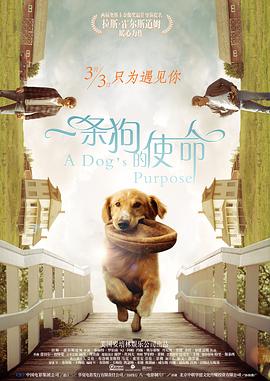 朱竹清被到爽高潮痉挛广告