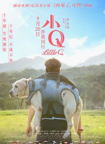 91碰碰
