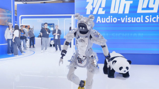 国产精品毛片一区二区在线看